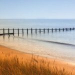 Devon - Green Grass Near Shoreline Beside Sea Under Blue Sky