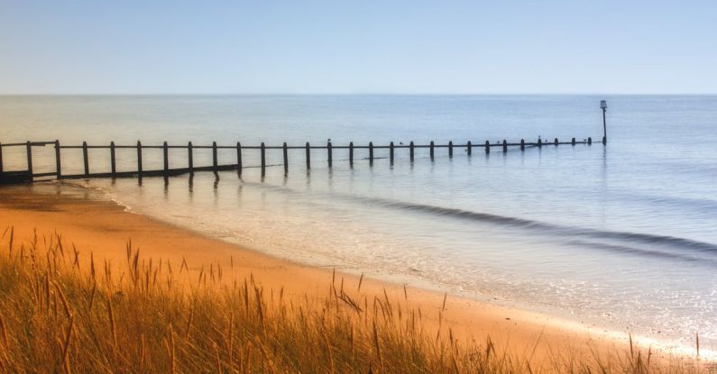 Devon - Green Grass Near Shoreline Beside Sea Under Blue Sky