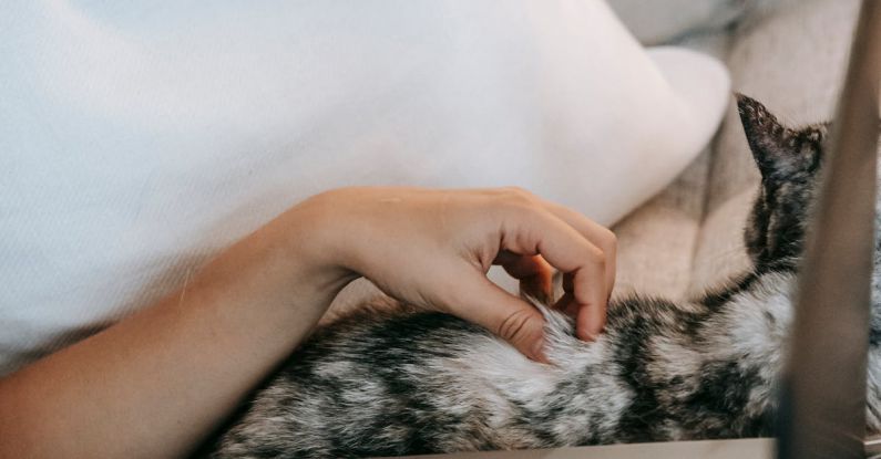 Surfing Spots - Woman using touchpad of laptop while touching fluffy spotty cat