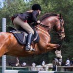 Horse Riding - Person Riding A Horse