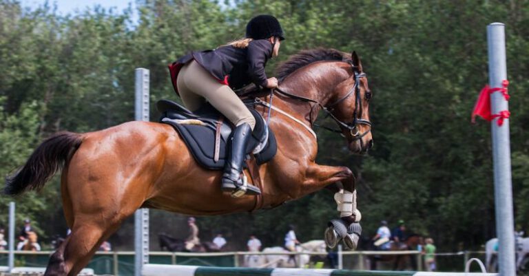 Horse Riding - Person Riding A Horse