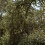 Book Lovers - Couple on a Date at a Park