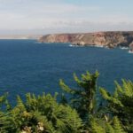 Cornwall - Green Ferns Near Body Of Water