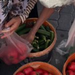 Street Food Markets - Two women are picking tomatoes from a basket