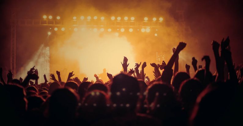 Music Venues - People at Concert