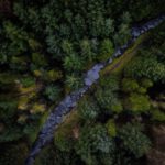 Peak District - Top View Photo of Pine Trees